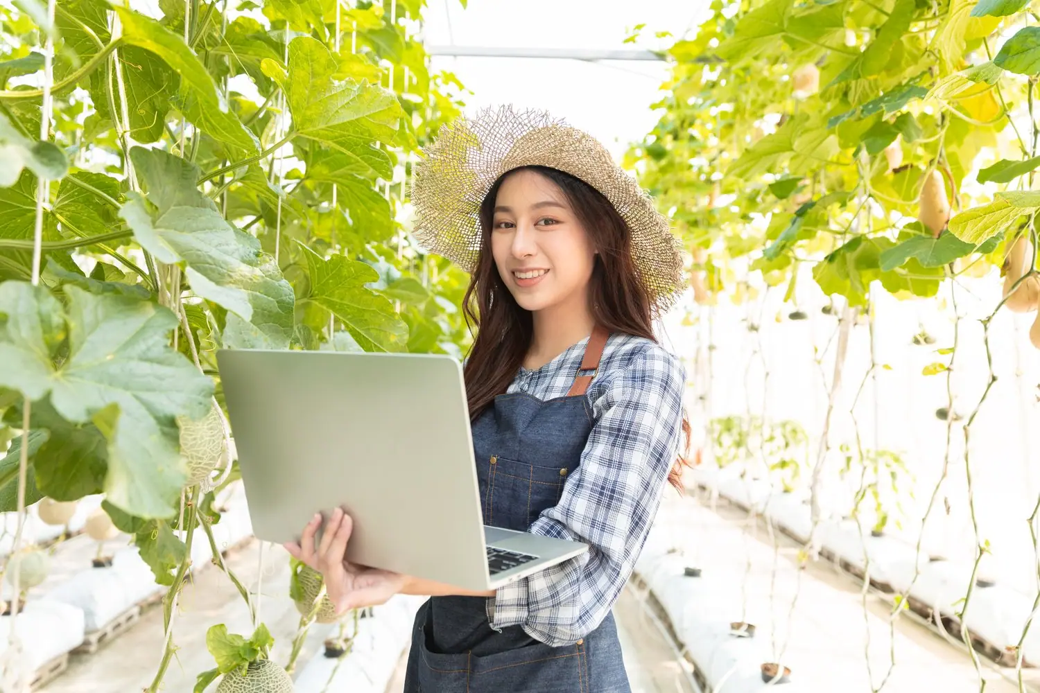 Yield farming - zarabianie na kryptowalutach poprzez pożyczanie