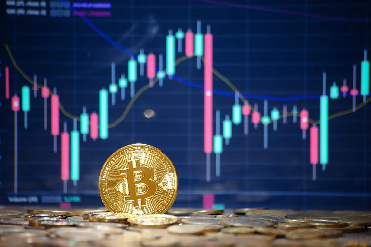 Co to jest bear market i bull market w kryptowalutach - jak się przygotować